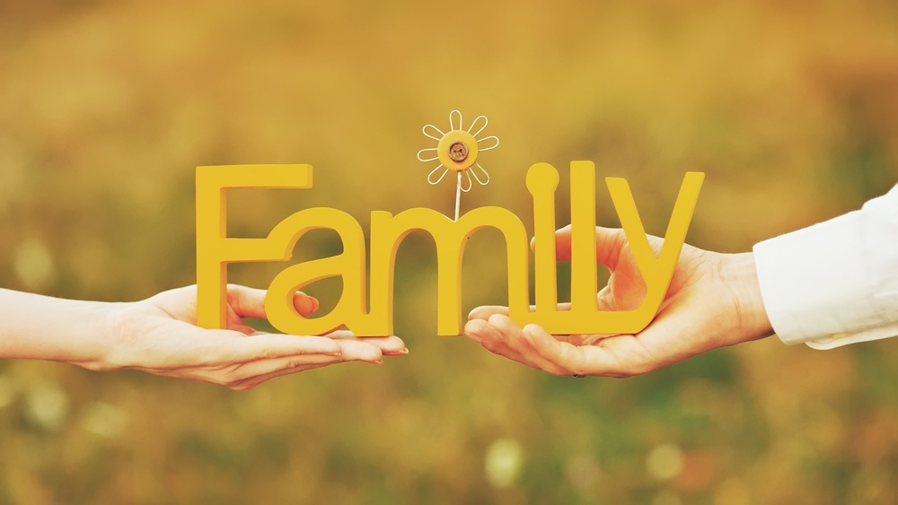 How to Be Happy With My Family